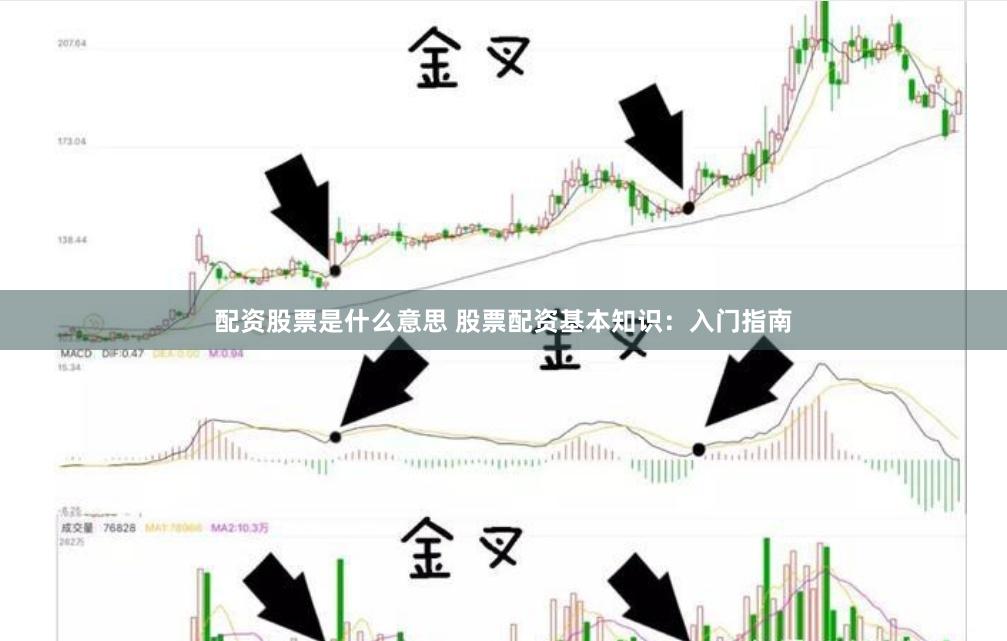 配资股票是什么意思 股票配资基本知识：入门指南